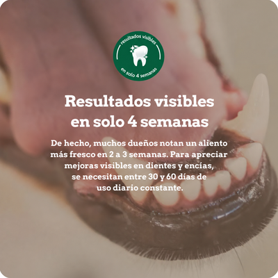 PROTEINA LIMPIADORA ENCIAS MASCOTAS